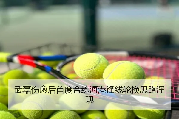 武磊伤愈后首度合练海港锋线轮换思路浮现