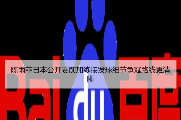 陈雨菲日本公开赛前加练接发球细节争冠路线更清晰