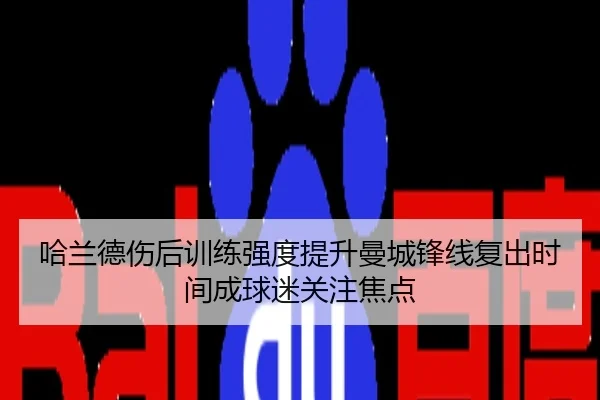 哈兰德伤后训练强度提升曼城锋线复出时间成球迷关注焦点