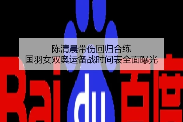 陈清晨带伤回归合练 国羽女双奥运备战时间表全面曝光